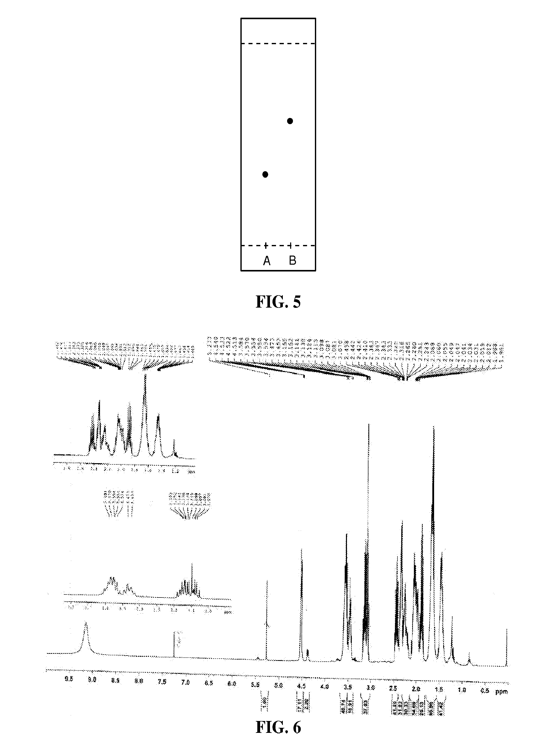 Compositions and Methods for Treatment of Renin-Angiotensin Aldosterone System (RAAS)- Related Disorders