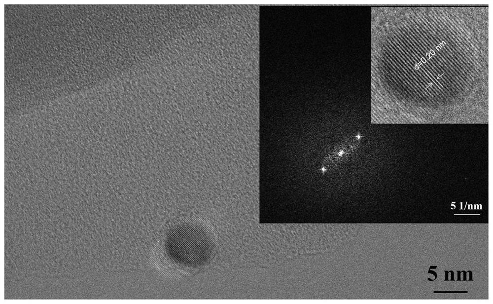 Composite kaolinite diagnosis and treatment agent as well as preparation method and application thereof