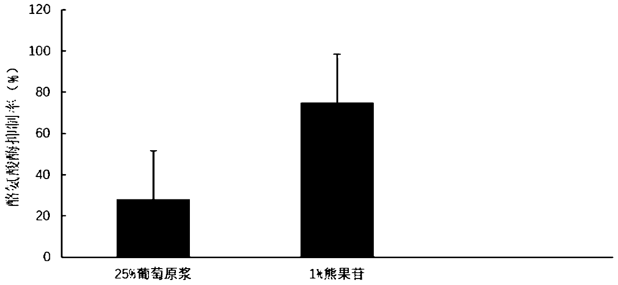 Grape fermentation puree as well as preparation method and application thereof