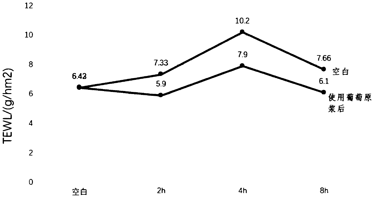 Grape fermentation puree as well as preparation method and application thereof