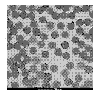 Method for preparing bioluminescent nano thermometer