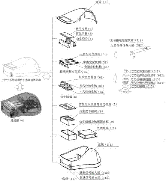 Pulse condition simulation terminal with fingering collection