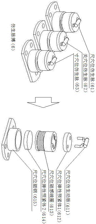 Pulse condition simulation terminal with fingering collection