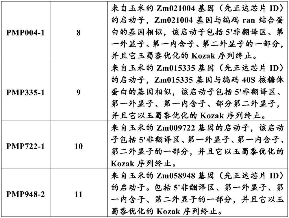 Promoters for regulating gene expression in plants