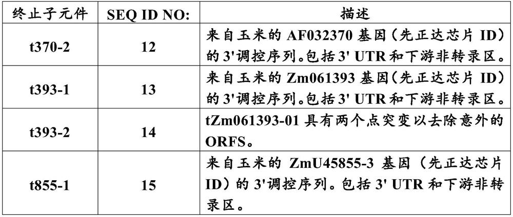 Promoters for regulating gene expression in plants