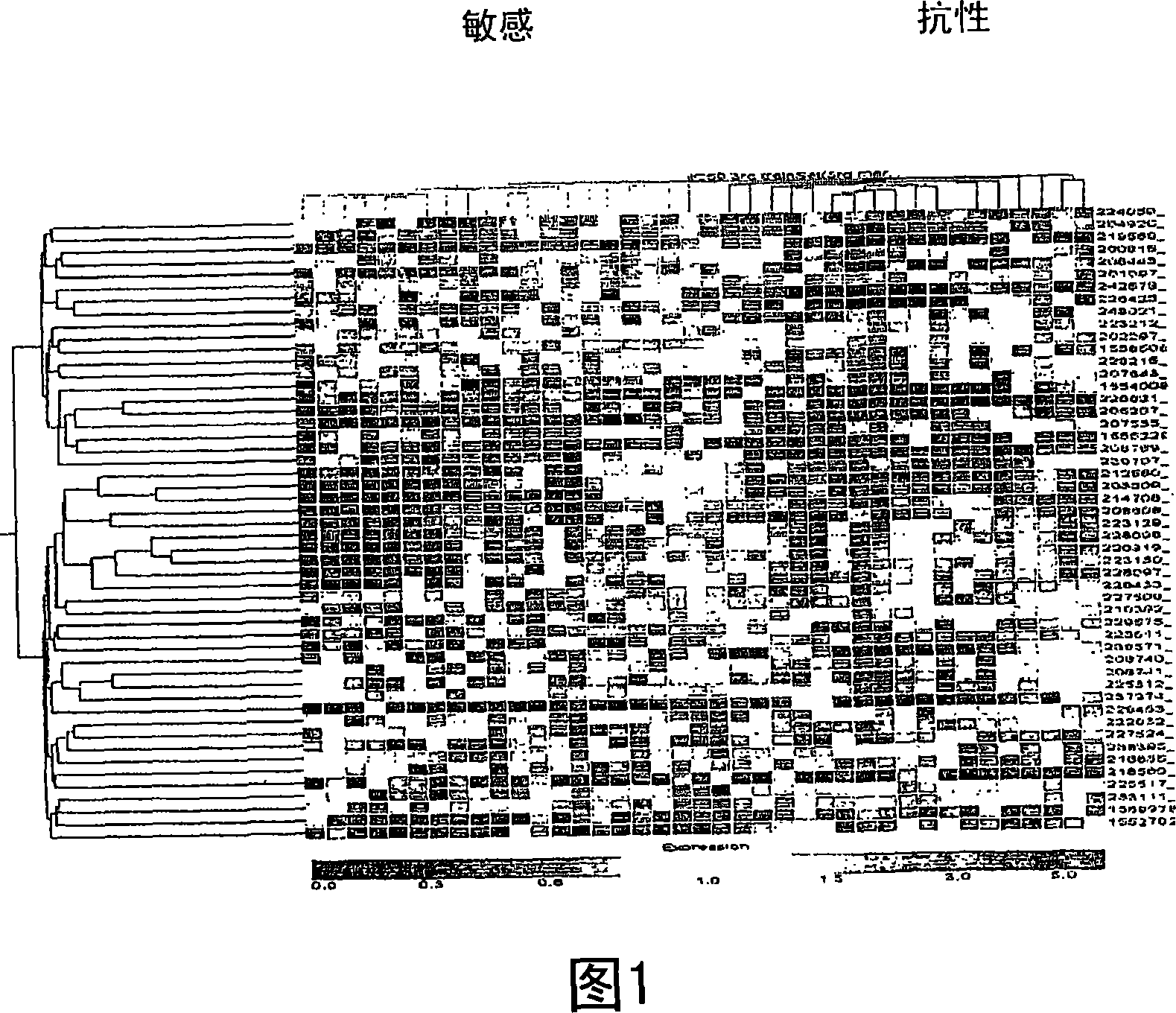 Transcriptome microarray technology and methods of using the same