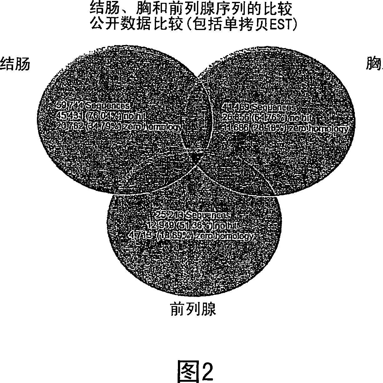 Transcriptome microarray technology and methods of using the same