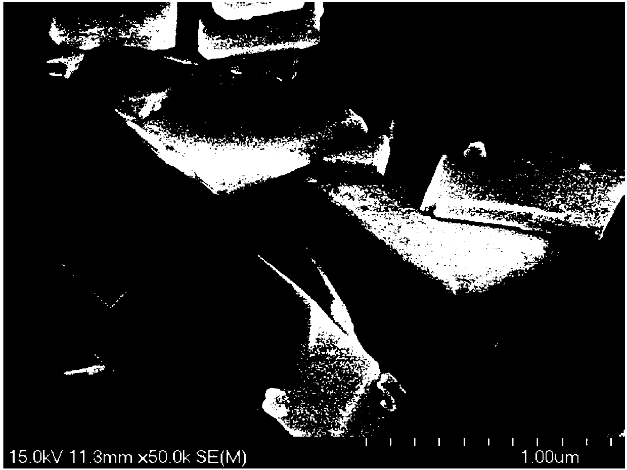 Electrochemical method for preparing tungsten trioxide nanosheets