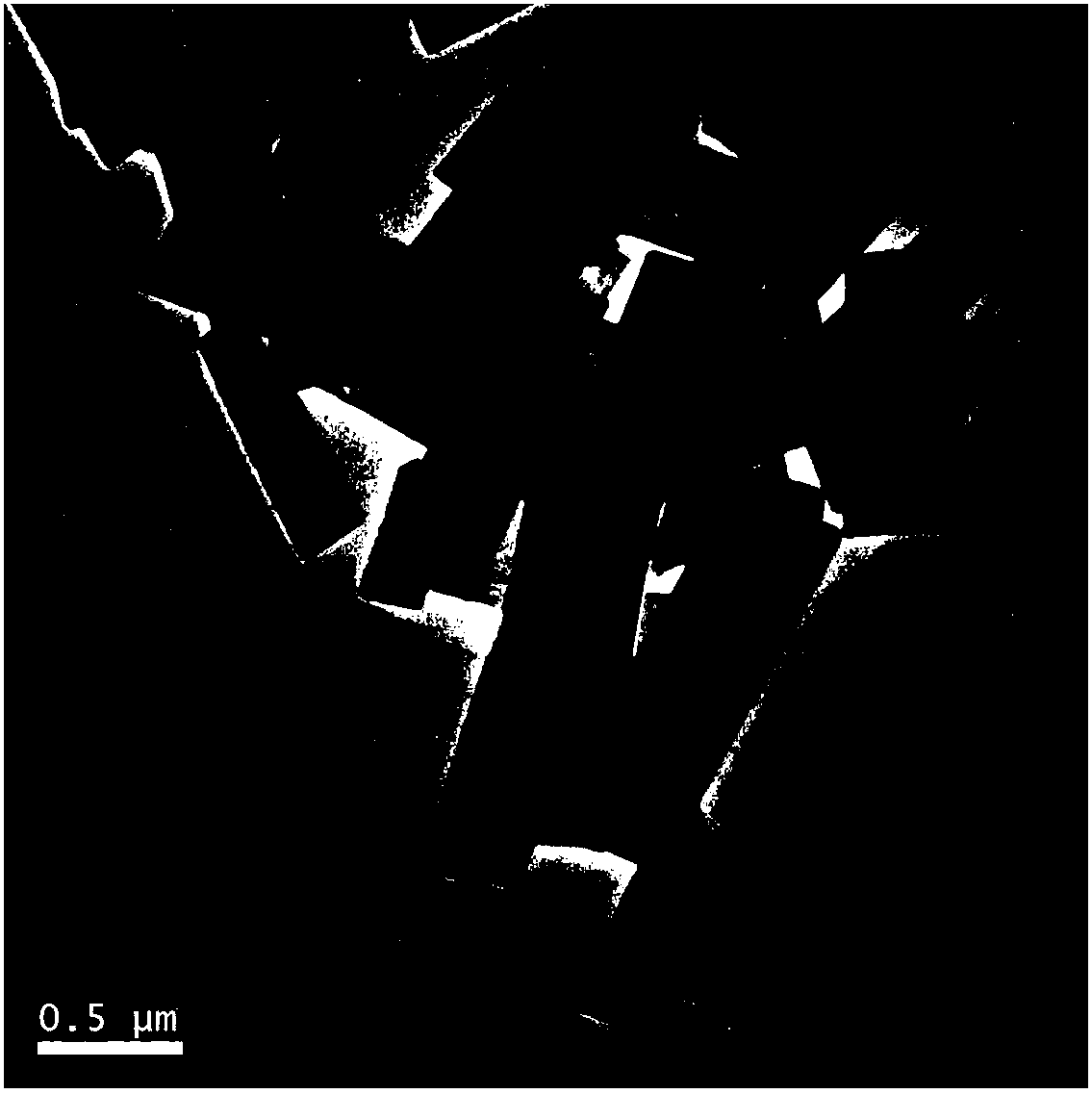 Electrochemical method for preparing tungsten trioxide nanosheets