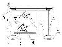 Glass-bed fish bowl