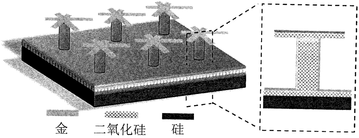 A Holographic Imaging Film Based on Surface Plasmon Coupling Structure