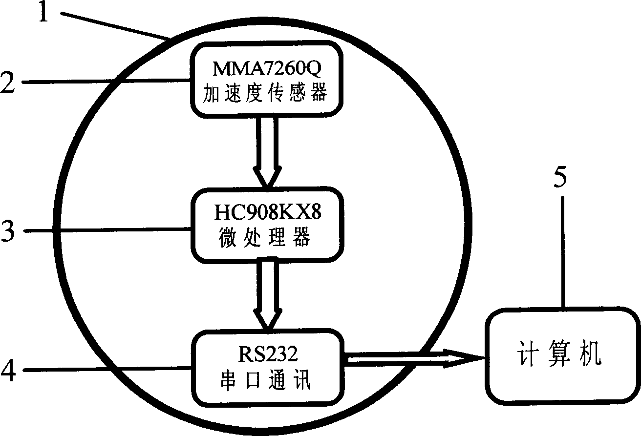 Granular measuring device and in-situ measuring method thereof