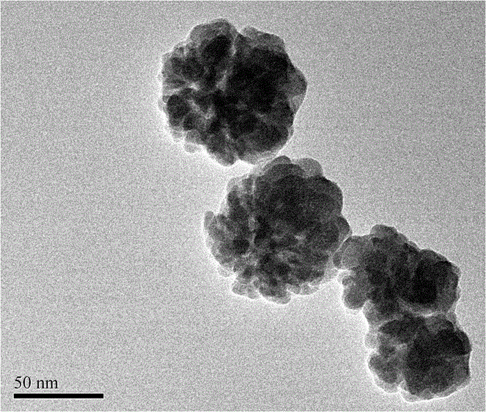 Organic solar cell with nano-particle close-packed structure