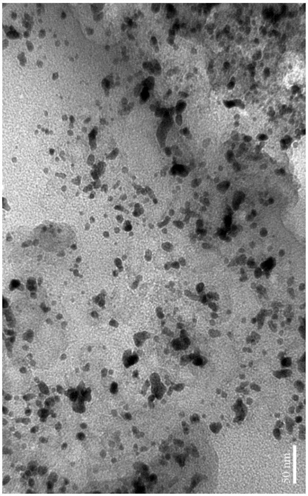 High-activity and high-stability PtNi nano-alloy catalyst as well as preparation method and application thereof