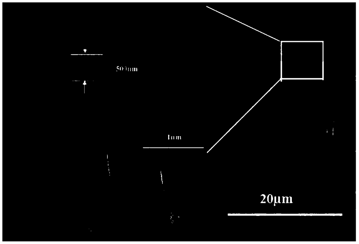 A solvent-resistant composite nanofiltration membrane and preparation method thereof