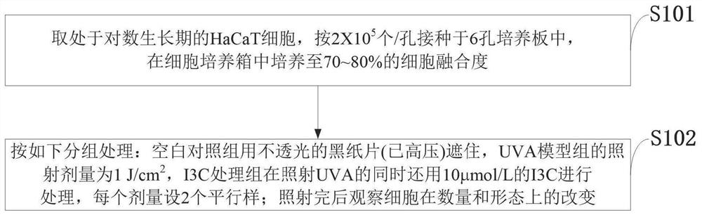 A drug and animal model for the intervention of skin photoaging caused by UVA