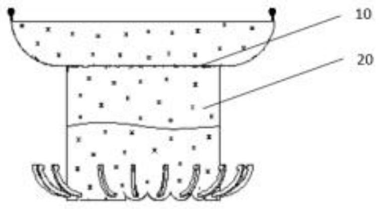 artificial heart valve