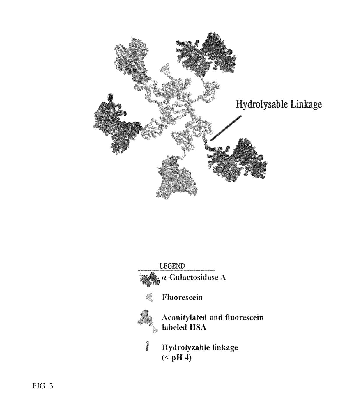 Scavenger receptor uptake for fabry disease enzyme replacement therapy