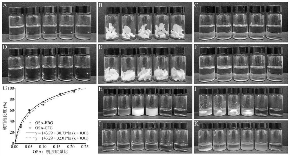 Octenyl succinic anhydride modified gelatin as well as preparation method and application thereof