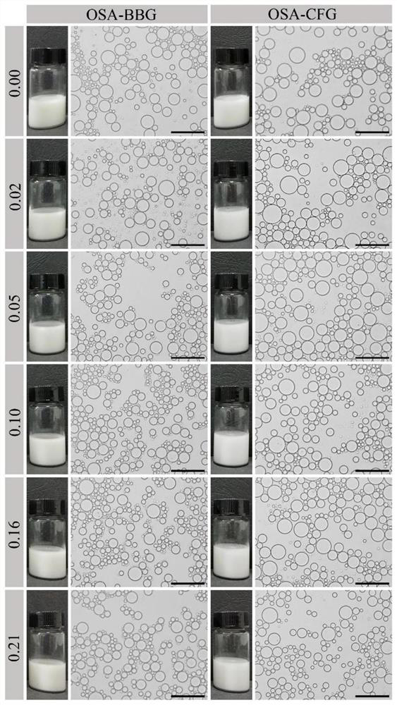 Octenyl succinic anhydride modified gelatin as well as preparation method and application thereof