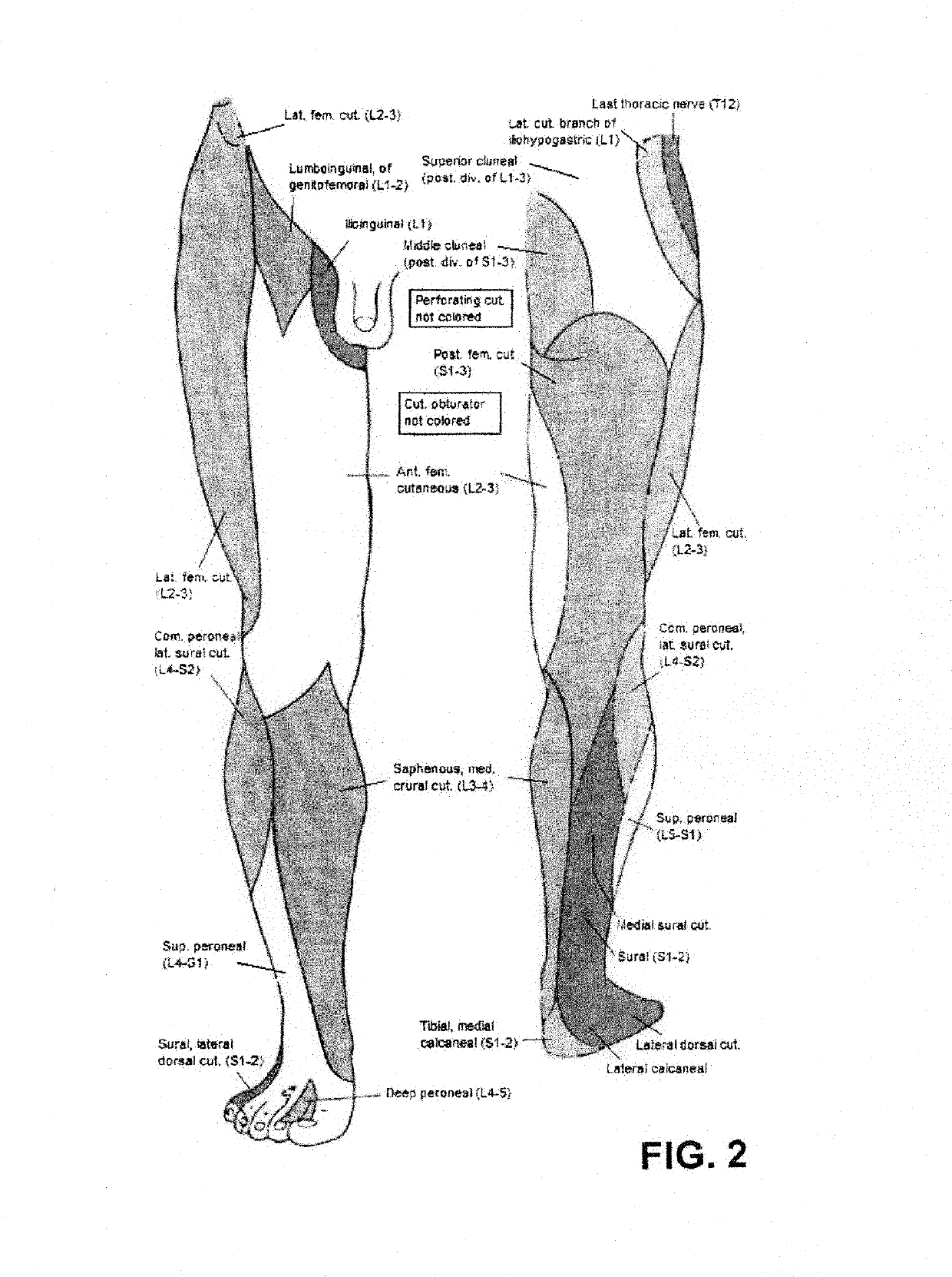 Methods for improving shoulder range of motion and functionality