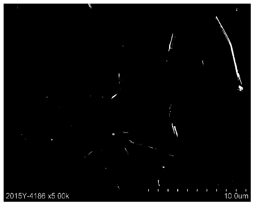 A method for detecting the morphology of silver behenate crystals in a silver salt imaging material