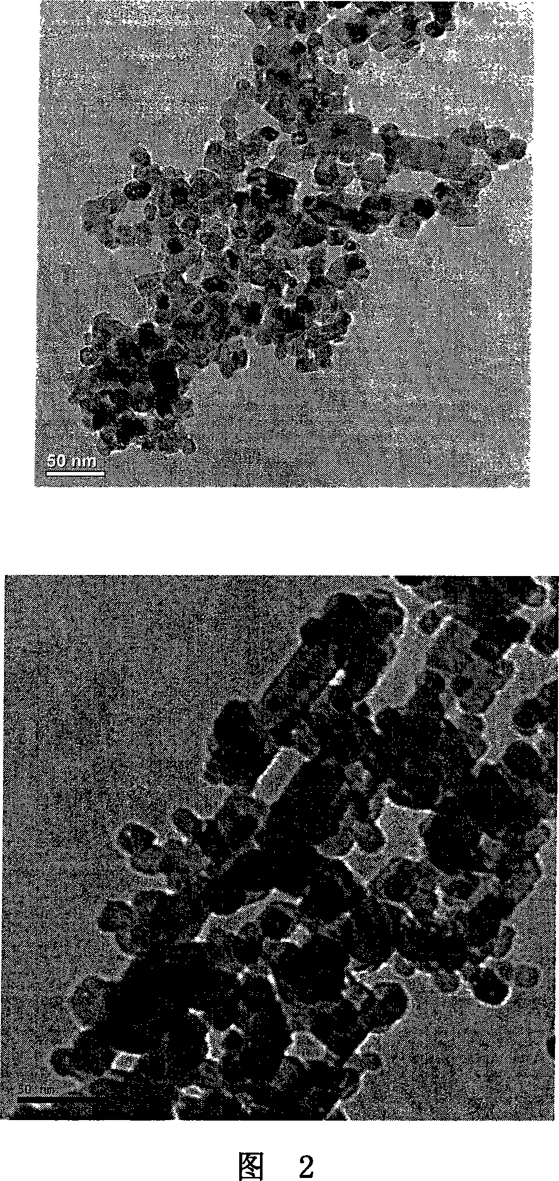 Method for preparing titanium dioxide nano-tube