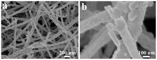 Silver-modified cobalt tungstate/cadmium tungstate nanofiber photocatalytic material as well as preparation method and application thereof