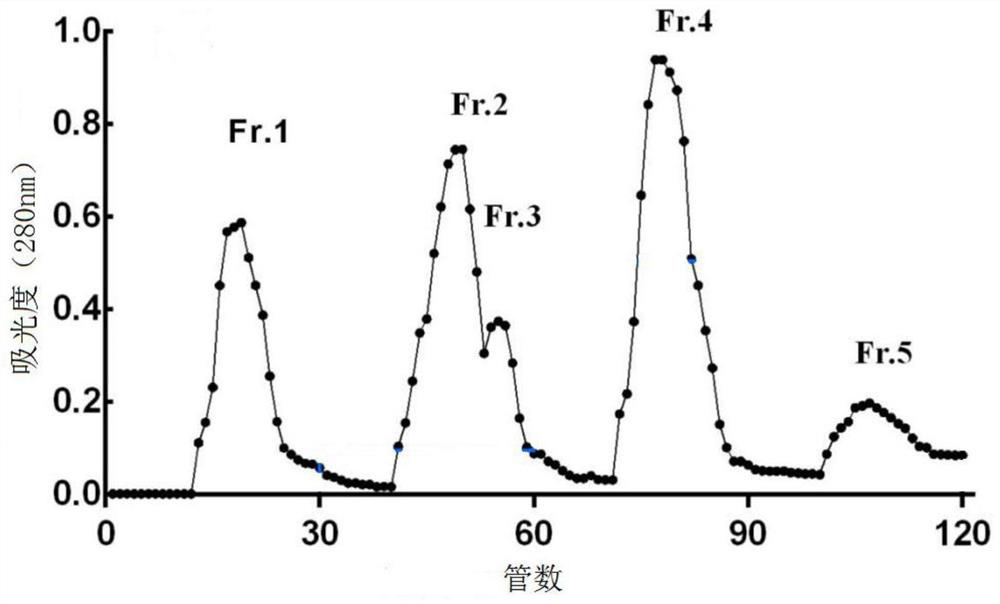 A kind of tartary buckwheat antioxidant peptide and its preparation method and application