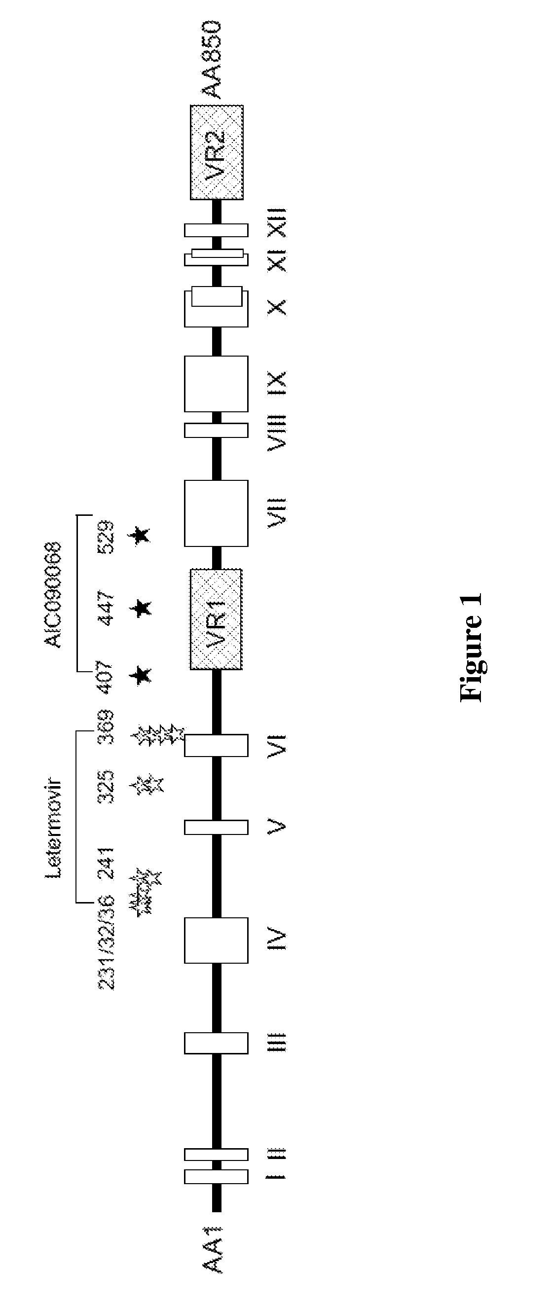 Identification of an altered therapeutic susceptibility to Anti-hcmv compounds and of a resistance against Anti-hcmv compounds