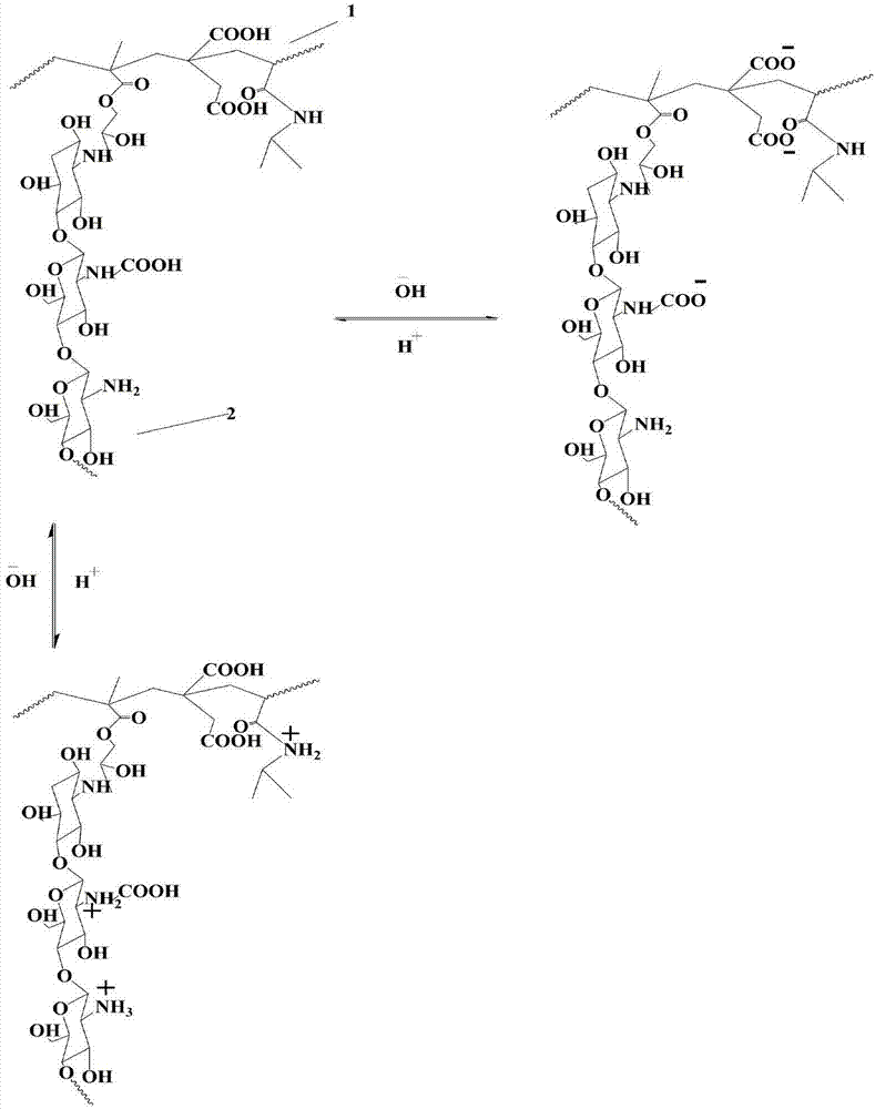 Novel pH sensitive type hydrogel and preparation method and application thereof