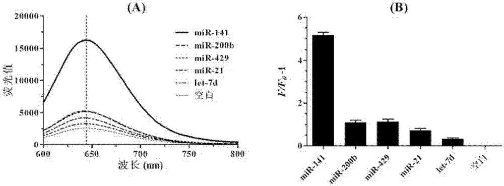 MicroRNA quantitative detection analytic method by utilizing isothermal amplification to synthesize fluorescent nano silver cluster probe