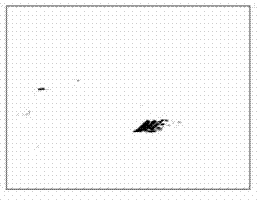 Multiple isomerous water environment monitoring data evaluating and early-warning method