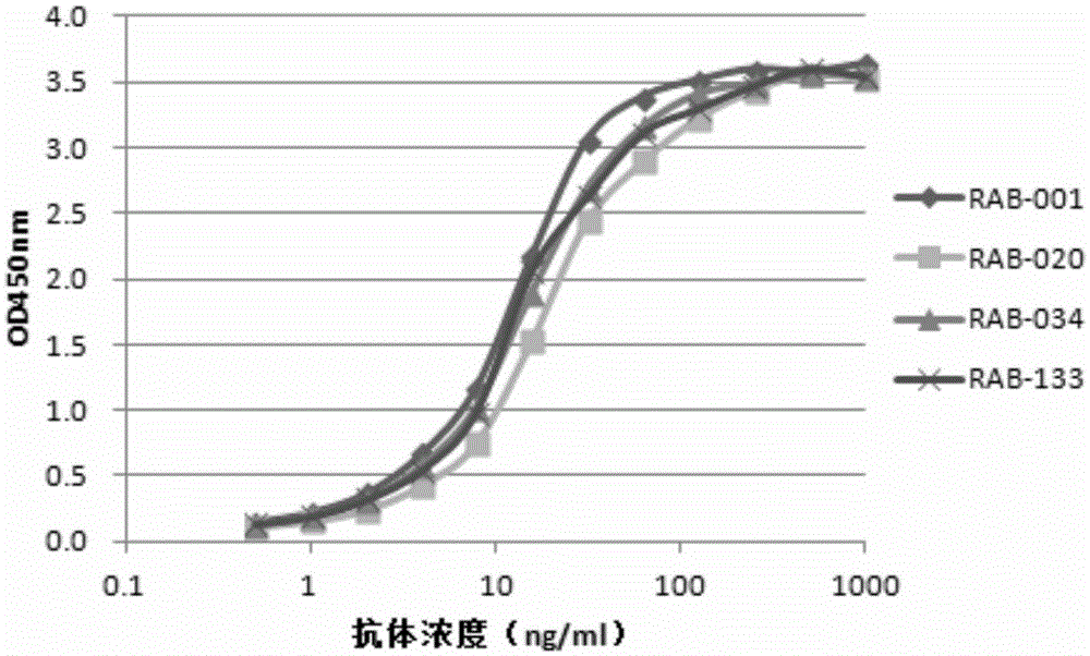 Monoclonal antibody for recognizing HPV16 positive tumor cells, and applications thereof