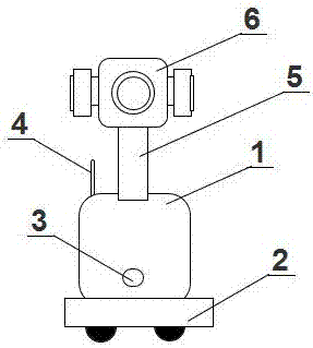 Multi-camera robot