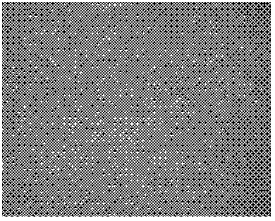 Preparation process for insulin-secreting cells and special medium composition used therein