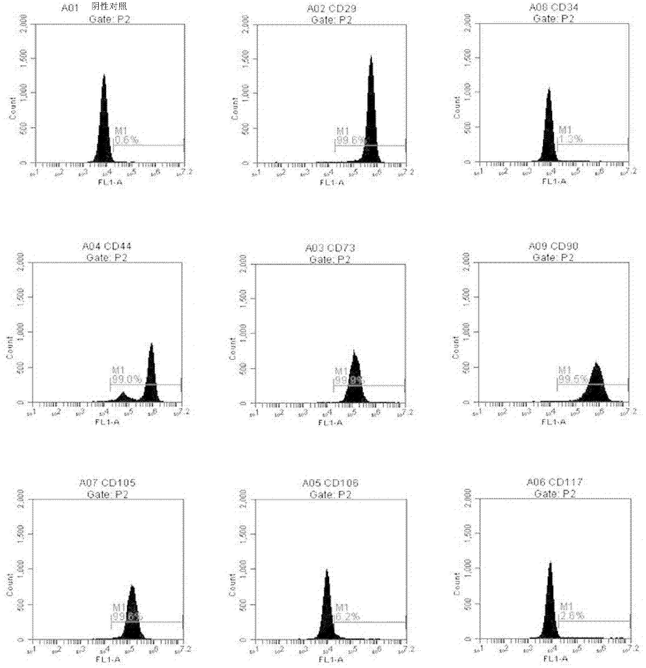 Preparation process for insulin-secreting cells and special medium composition used therein