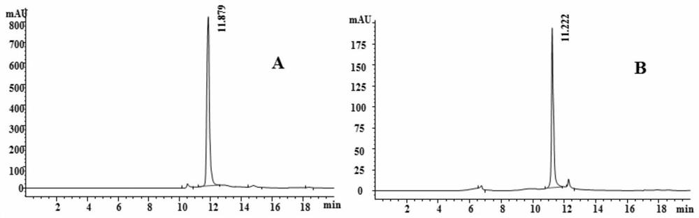 Lily leaf polysaccharide and its preparation method and use in the preparation of anti-complement medicine