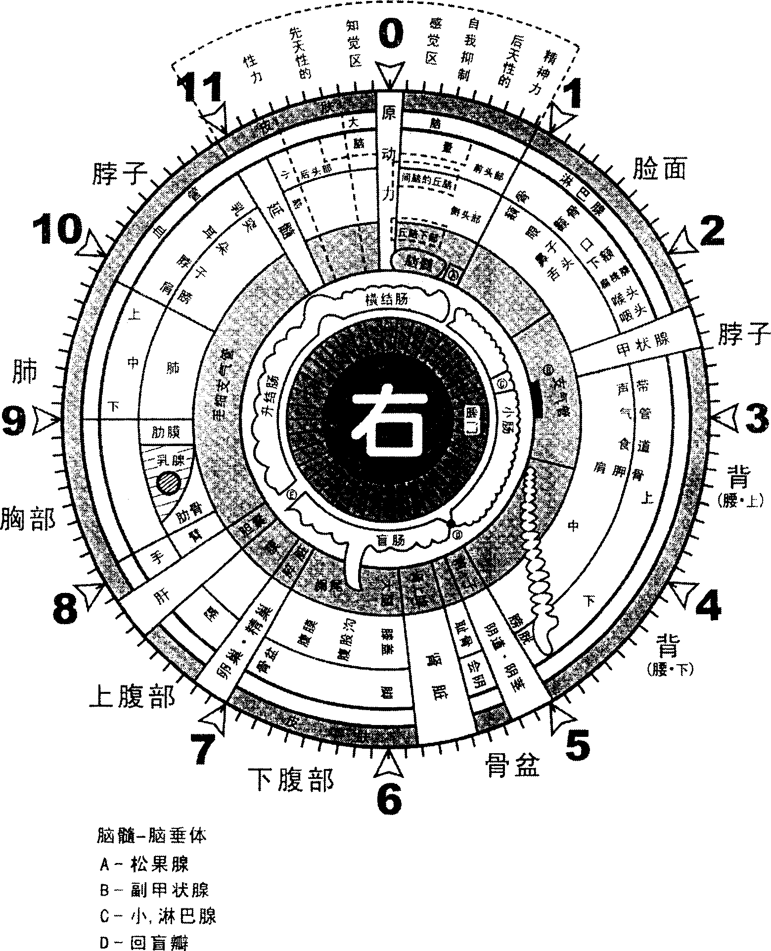 Iris image flexible specification method based on mathematical morphology