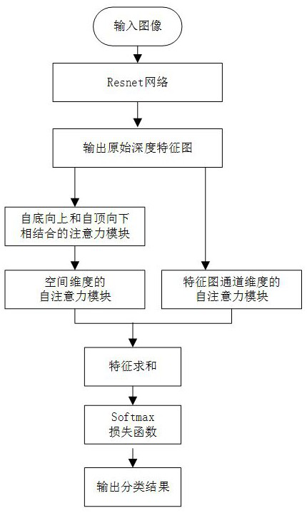 Image classification method and system based on double attention mechanisms, and electronic equipment