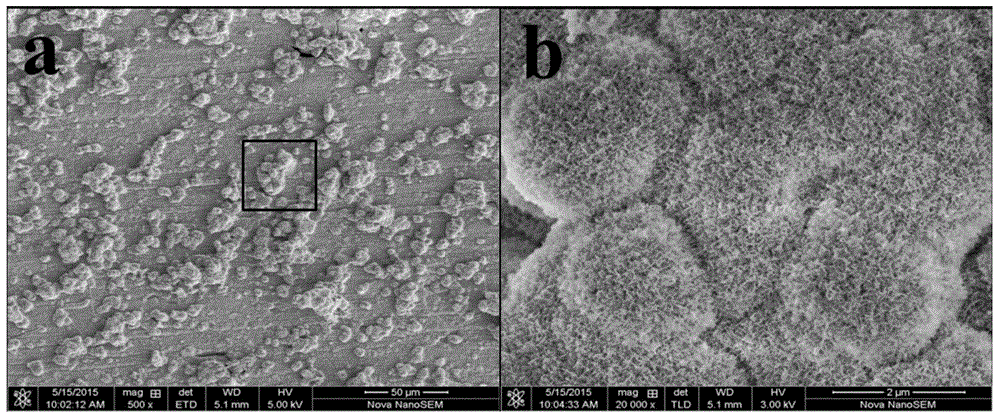 Compound bone cement precursor as well as preparation method and application of strontium borate bioglass/polymethyl methacrylate compound bone cement