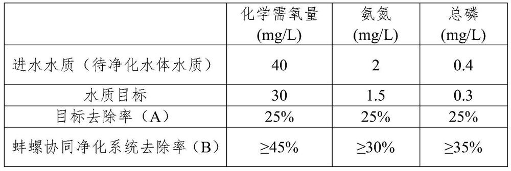 Mussel-snail synergistic purification system for water environment treatment