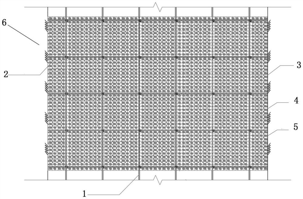 Mussel-snail synergistic purification system for water environment treatment