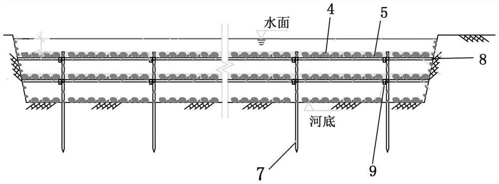 Mussel-snail synergistic purification system for water environment treatment