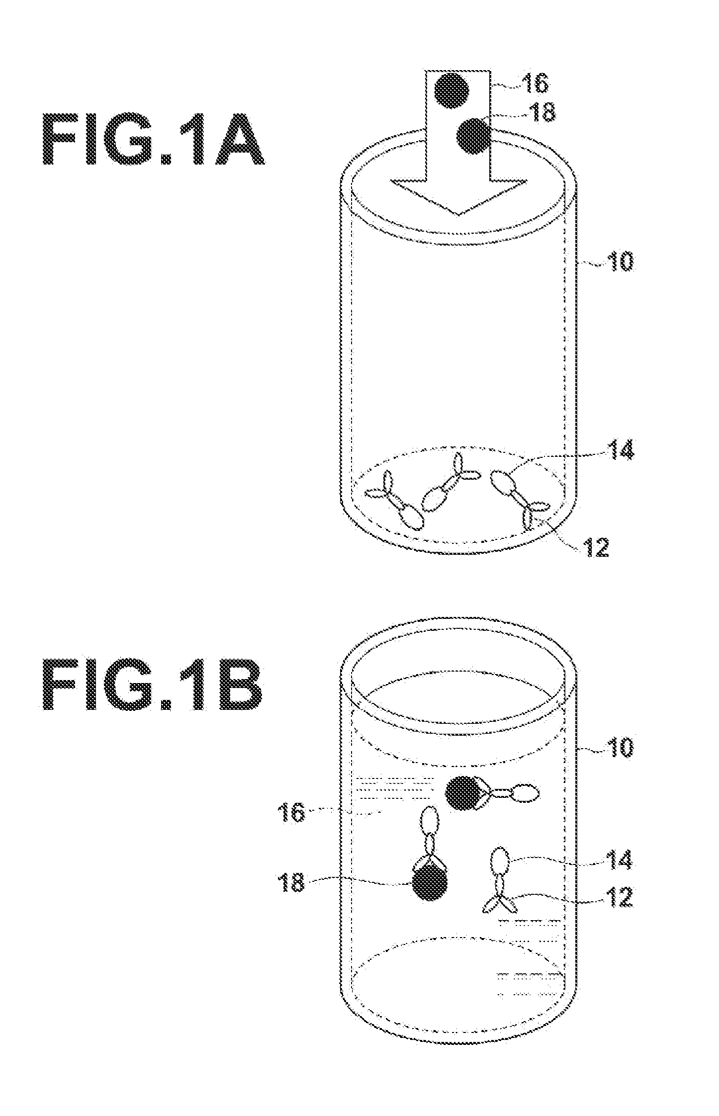 Biological molecule detecting apparatus and biological molecule detecting method