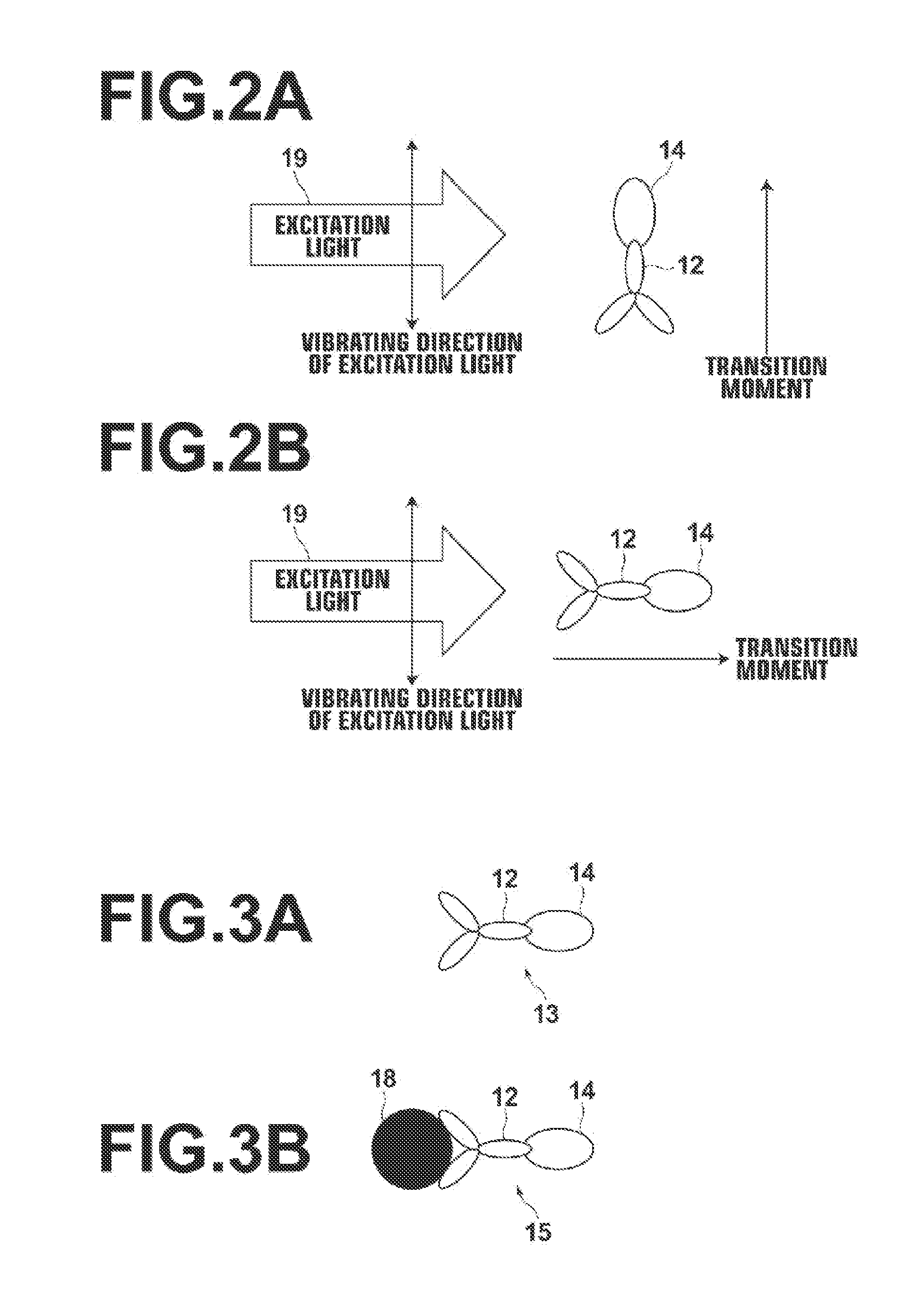 Biological molecule detecting apparatus and biological molecule detecting method