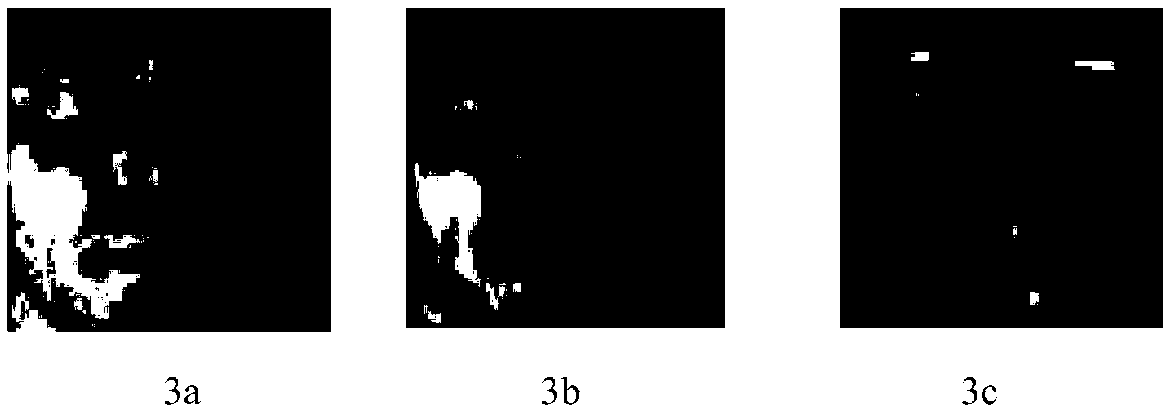 Face characteristic extraction method