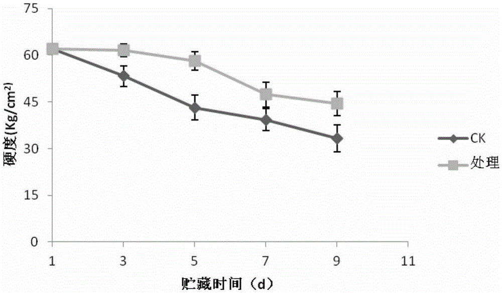 Edible mushroom fresh keeping agent and preparation method thereof