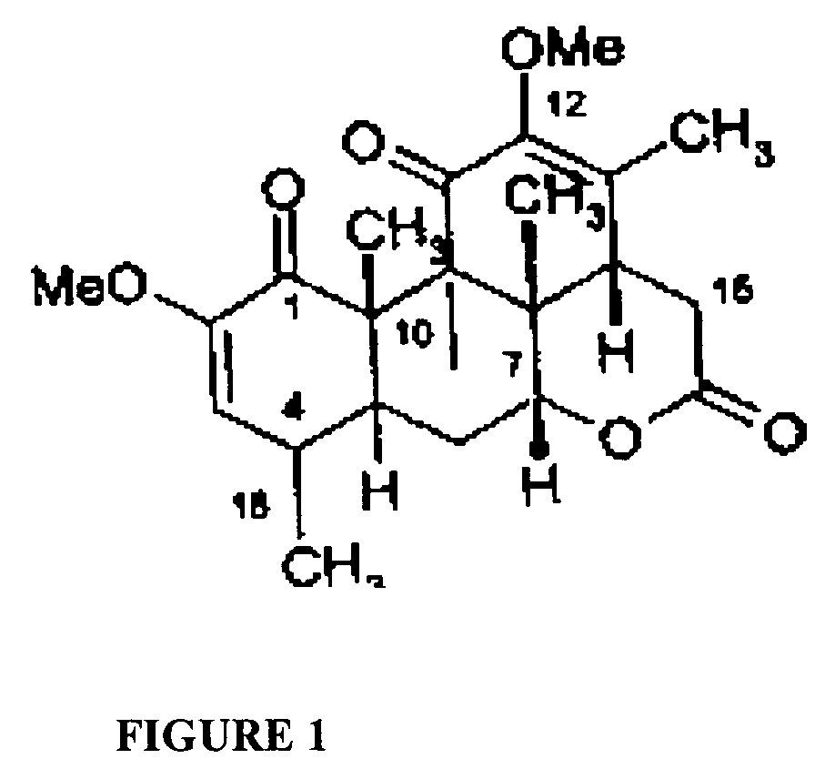 Process to extract quassinoids