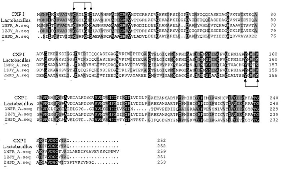 A kind of preparation method of (2s,3s)-2-hydroxyl-4-phenylbutane derivative